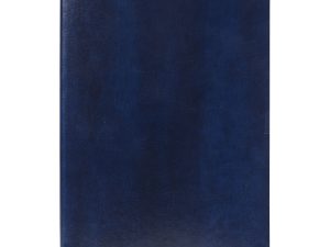 ALAMO, notes a5, plavi